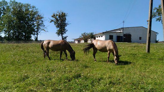 Stacja Badawcza Rolnictwa Ekologicznego i Hodowli Zwierząt